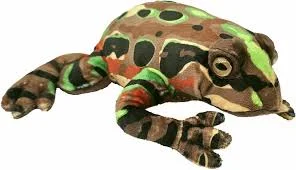 Sweet and innocent stuffed animalsSweet and innocent stuffed animalsArchey's Frog