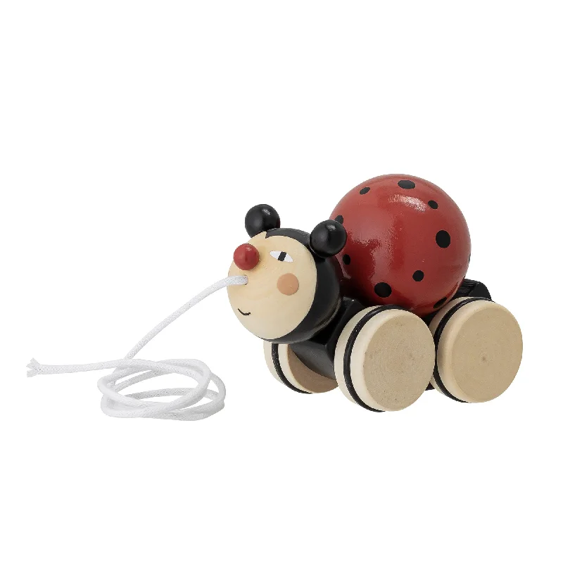 environmentally conscious wooden toys                 Bloomingville Beetle Pull Along Toy