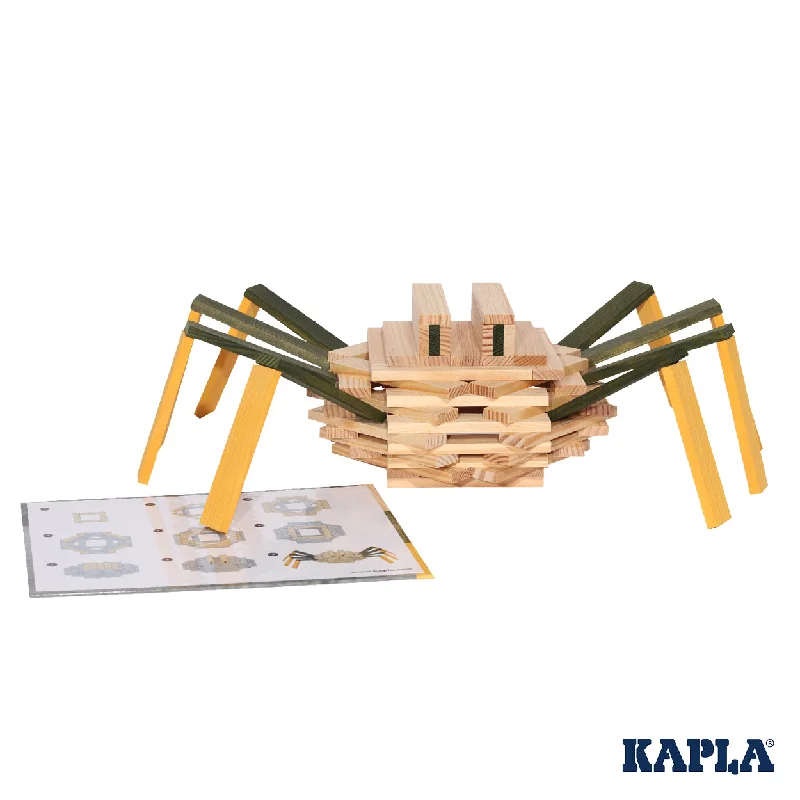 sturdy and reliable wooden toys that provide hours of fun                   KAPLA Spider Case