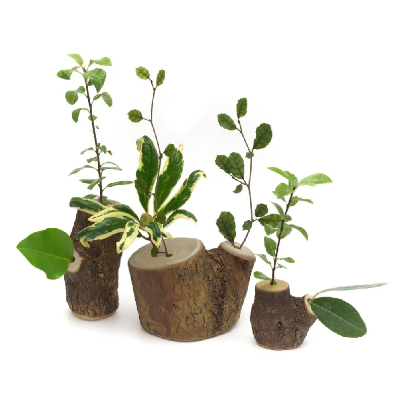 sustainably sourced wooden toys                   STORY TREES <br> set of three
