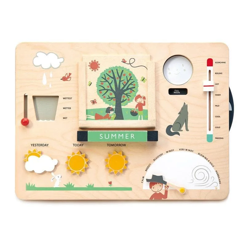 skillfully crafted wooden toys                   Wooden Weather Station