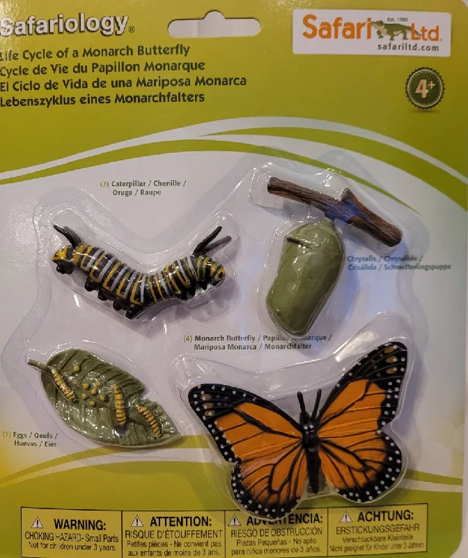 Intricate puzzles Life Cycle of a Monarch Butterfly